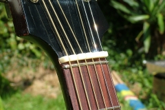 DSCF1397