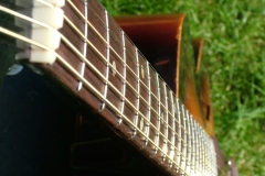 DSCF1411 DSCF1411