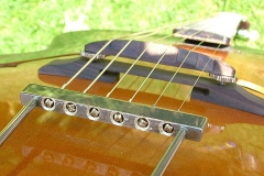 DSCF1419