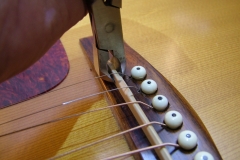 DSCF2215 DSCF2215