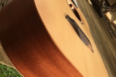 IMG_1870 IMG_1870